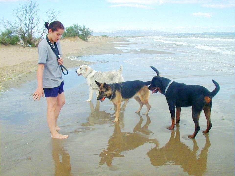 responsabilidad Perth Brutal Se aceptan perros en el Delta del Ebro